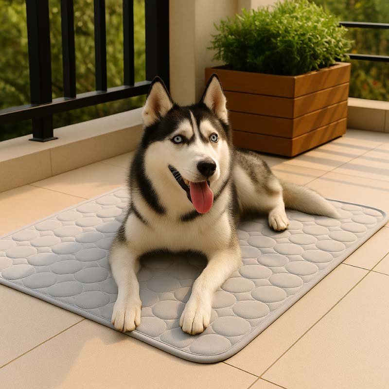 Siberische Husky op lichtgrijze CoolPet™ koelmat op het terras – verkoelende mat voor grote honden